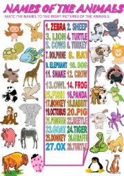 English Worksheet: NAMES OF THE ANIMALS