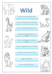 English worksheet: Animals