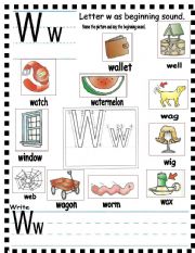 English Worksheet: ABC- letter Ww and sentences