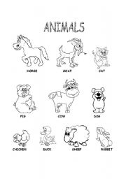 English worksheet: Animals worksheet