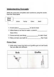 English worksheet: How animals get their food part2