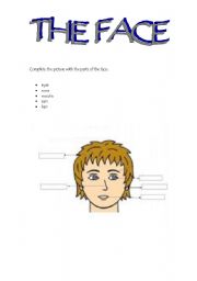 English worksheet: The Face