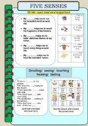 English Worksheet: Five senses