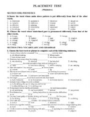 English Worksheet: Placement test 