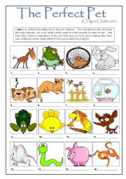 English Worksheet: The Perfect Pet