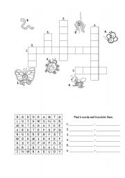 English Worksheet: Bugs - vocabulary exercises