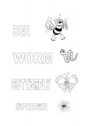 English Worksheet: bugs
