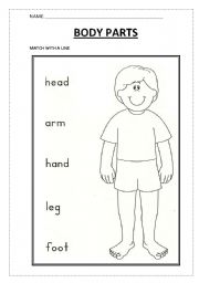 English Worksheet: BODY PARTS