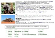 English worksheet: pangolins 2 (unusual animal)