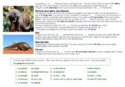 English Worksheet: pangolins 2 (unusual animal)