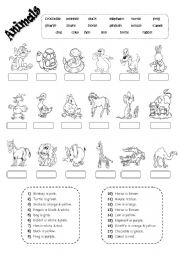 English Worksheet: animals