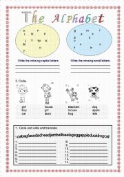 English Worksheet: ALPHABET, NUMBER AND COLOUR