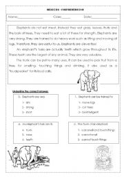 English Worksheet: Reading