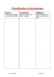 English worksheet: classification of invertebretes