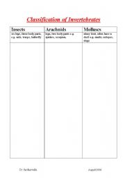 English Worksheet: classification of invertebretes