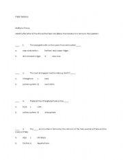 English worksheet: Plate Tectonic