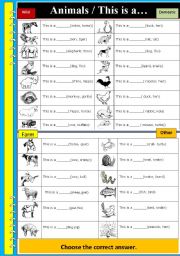 English Worksheet: Animals