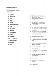 English worksheet: horses vocbulary