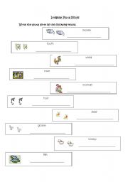 English worksheet: Irregular Plural Nouns