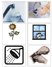 English Worksheet: Flash cards for W sound