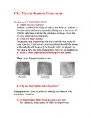 English worksheet: csi revision