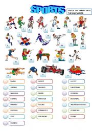 English Worksheet: SPORTS