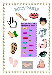 English Worksheet: BODY PARTS