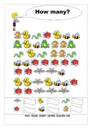 English Worksheet: HOW MANY?  Count the Animals