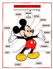 English Worksheet: MICKEYS BODY 1/2