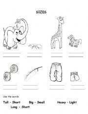 English Worksheet: sizes