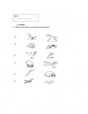 English worksheet: Practical Work Unit 6 from Backpack 1