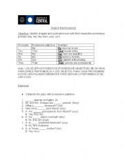 English Worksheet: Possesive adjective