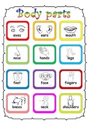 English Worksheet: body parts