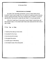 English Worksheet: Reading Test