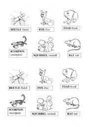 English worksheet: Animals