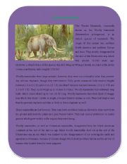 English Worksheet: Extinct Animal Part 4 ( Tundra Mammoth)