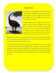 English Worksheet: Extinct Animal Part 6 ( Elephant Bird)