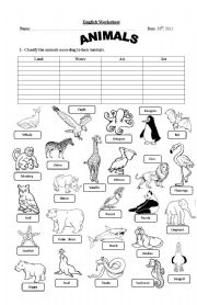 English Worksheet: Classify the animals