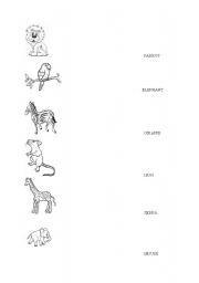 English Worksheet: animals