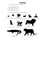 English worksheet: animals