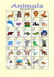 English Worksheet: Animals