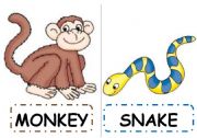 English Worksheet: SAFARI ANIMALS