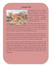 Extinct Animal Part 8 ( Tasmanian Wolf)