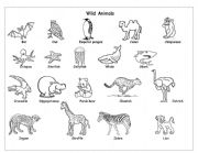 English Worksheet: Wild animals