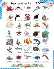 English Worksheet: Sea Animals Pictionary