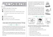 English Worksheet: Amphibians