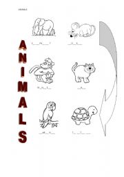 English worksheet: ANIMALS