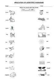 English Worksheet: Animal Homes