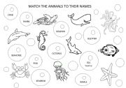 English Worksheet: OCEAN ANIMAL NAMES