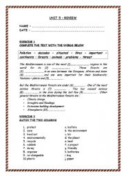 English worksheet: test- elementary